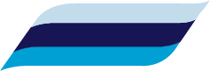DockMaster Logo